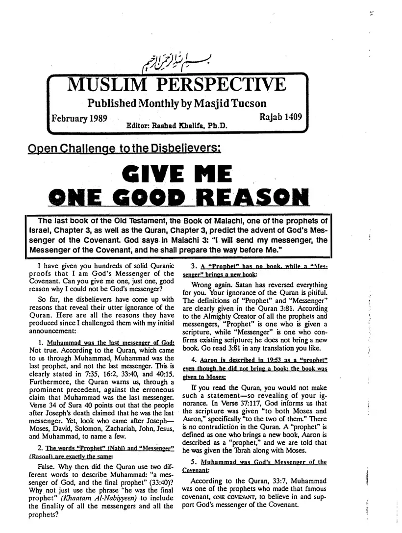 Submitter's Perspective, February 1989, page 1 of 4