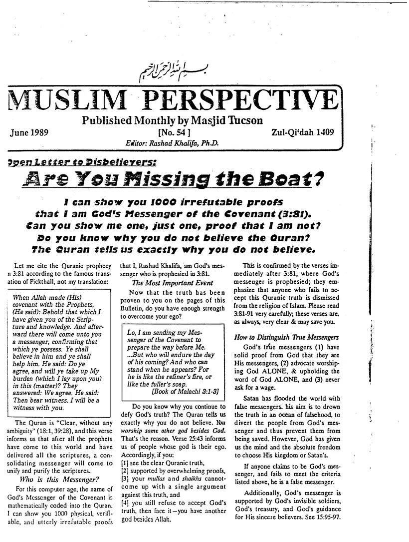Submitter's Perspective, June 1989, page 1 of 4